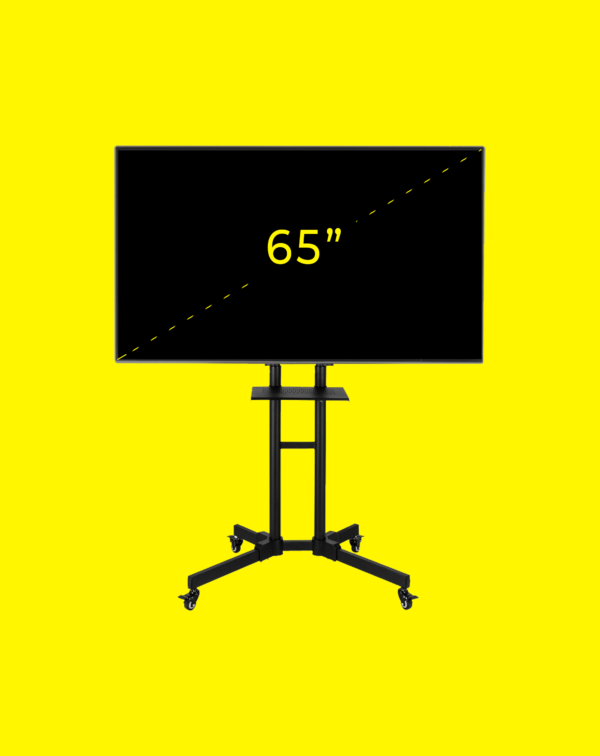 Additional 65” Monitor